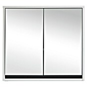 Basic Spiegelschrank Basic (60 x 20 cm, Ohne Beleuchtung, Weiß)
