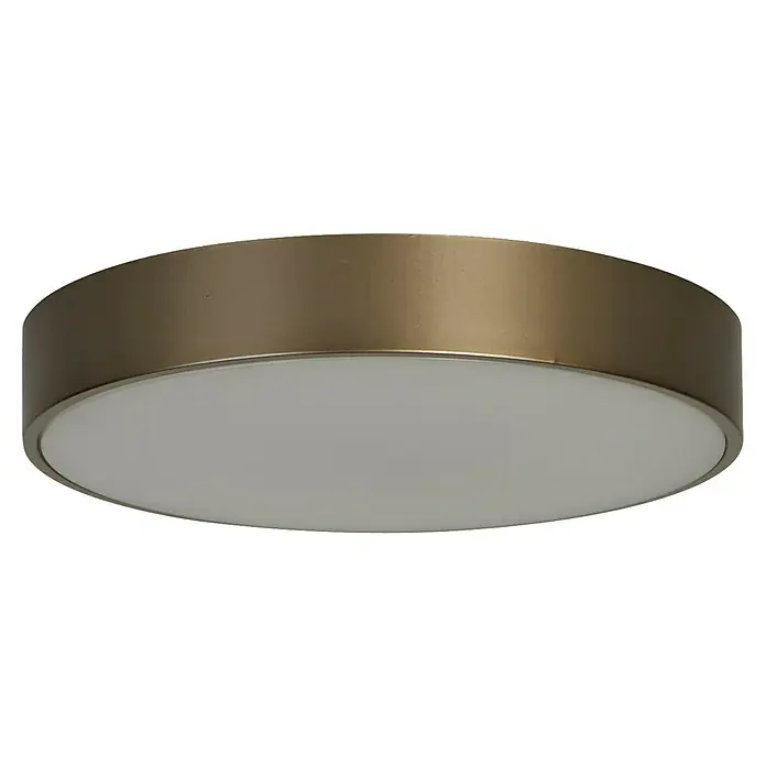 Searchlight LED-Deckenleuchte rund Palma - 12 W, Ø x H: 25 x 4 cm, Bronze, Warmweiß - Nahaufnahme einer stilvollen, runden Deckenleuchte mit einem goldenen Rand und einer weißen, diffusen Lichtfläche.