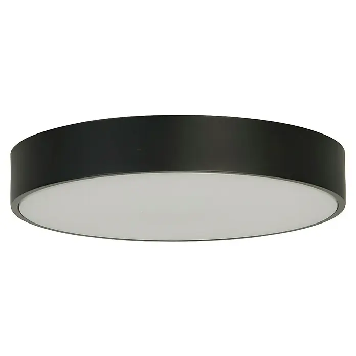 Searchlight LED-Deckenleuchte rund Palma - 12 W, Ø x H: 25 x 4 cm, Schwarz, Warmweiß - Nahaufnahme einer runden, schwarzen Deckenleuchte mit einem weissen, diffusen Lichtpanel, das ein modernes und elegantes Design zeigt.