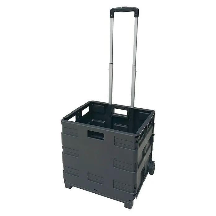 Caja profesional con ruedas - L x An x Al: 38 x 40,5 x 42 cm, Plástico - Carro negro plegable con asa extensible, ideal para compras y transporte de objetos.