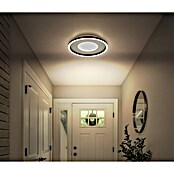 Globo Okrugla stropna LED svjetiljka Wiley  (24 W, Ø x V: 33 x 5,7 cm, Siva, Hladna bijela) | BAUHAUS