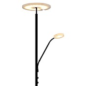 Globo LED stajaća svjetiljka Stanford  (28 W, Visina: 180 cm, Crna, Topla bijela) | BAUHAUS