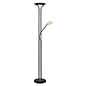 Globo LED stajaća svjetiljka Tamika  (25 W, Visina: 180 cm, Crna, Hladna bijela) | BAUHAUS