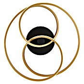 Globo Okrugla stropna LED svjetiljka Glyxar  (40 W, Ø x V: 50 x 16 cm, Crna, Zlatna, Topla bijela) | BAUHAUS