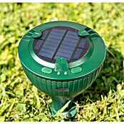 Windhager Wühlmaus- & Maulwurfschreck Mole Stop Solar Plus (Geeignet für: Maulwürfe, Grün) | BAUHAUS