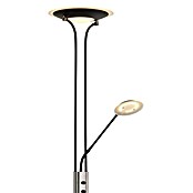 Globo LED stajaća svjetiljka Tamika  (25 W, Visina: 180 cm, Crna, Hladna bijela) | BAUHAUS