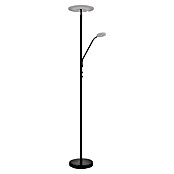 Globo LED stajaća svjetiljka Stanford  (28 W, Visina: 180 cm, Crna, Topla bijela) | BAUHAUS