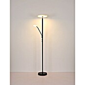 Globo LED stajaća svjetiljka Stanford  (28 W, Visina: 180 cm, Crna, Topla bijela) | BAUHAUS