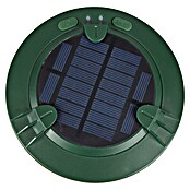 Windhager Wühlmaus- & Maulwurfschreck Mole Stop Solar Plus (Geeignet für: Maulwürfe, Grün) | BAUHAUS