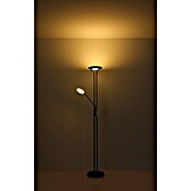 Globo LED stajaća svjetiljka Tamika  (25 W, Visina: 180 cm, Crna, Hladna bijela) | BAUHAUS