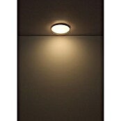 Globo Okrugla stropna LED svjetiljka Tyler  (24 W, Ø x V: 385 cm x 80 mm, Bijela, Neutralno bijelo) | BAUHAUS