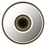 Globo LED okrogla stropna svetilka Cara  (40 W, Ø x V: 43,2 x 5 cm, Toplo bela) | 3016 - Deckenleuchte | CACB - Deckenleuchten | CAC - Indoorleuchten | CA - Beleuchtung | C - Elektro | BAUHAUS