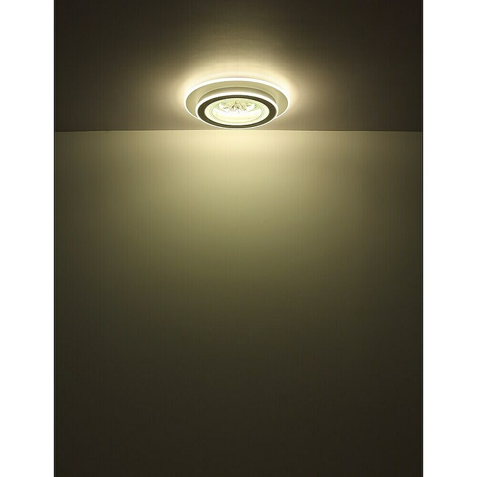 Globo LED okrogla stropna svetilka Bluma  (36 W, Ø x V: 46 x 6,5 cm) | 3016 - Deckenleuchte | CACB - Deckenleuchten | CAC - Indoorleuchten | CA - Beleuchtung | C - Elektro | BAUHAUS
