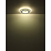 Globo LED okrogla stropna svetilka Bluma  (36 W, Ø x V: 46 x 6,5 cm) | 3016 - Deckenleuchte | CACB - Deckenleuchten | CAC - Indoorleuchten | CA - Beleuchtung | C - Elektro | BAUHAUS