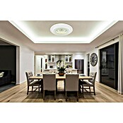 Globo LED okrogla stropna svetilka Bluma  (36 W, Ø x V: 46 x 6,5 cm) | 3016 - Deckenleuchte | CACB - Deckenleuchten | CAC - Indoorleuchten | CA - Beleuchtung | C - Elektro | BAUHAUS