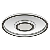 Globo LED okrogla stropna svetilka Cara  (40 W, Ø x V: 43,2 x 5 cm, Toplo bela) | 3016 - Deckenleuchte | CACB - Deckenleuchten | CAC - Indoorleuchten | CA - Beleuchtung | C - Elektro | BAUHAUS
