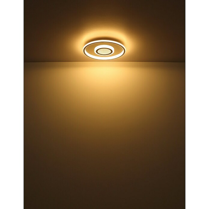 Globo LED okrogla stropna svetilka Cara  (40 W, Ø x V: 43,2 x 5 cm, Toplo bela) | 3016 - Deckenleuchte | CACB - Deckenleuchten | CAC - Indoorleuchten | CA - Beleuchtung | C - Elektro | BAUHAUS