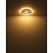 Globo LED okrogla stropna svetilka Cara  (40 W, Ø x V: 43,2 x 5 cm, Toplo bela) | 3016 - Deckenleuchte | CACB - Deckenleuchten | CAC - Indoorleuchten | CA - Beleuchtung | C - Elektro | BAUHAUS