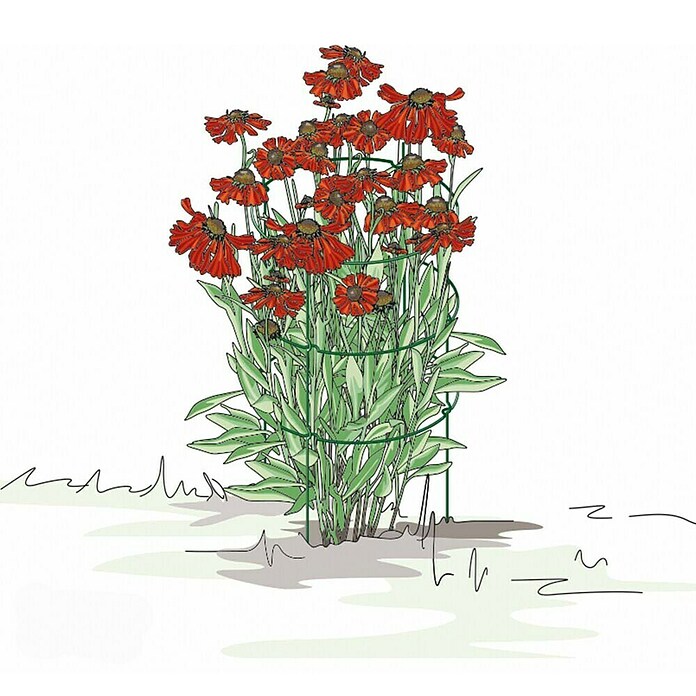 Bellissa Opora za trajnice Falter  (Zelena, 43,5 x 78 cm) | 7407 - Metall Spaliere/Stäbe/Staudenhalter | IAGA - Metallzaun | IAG - Außenbereichsausstattung | IA - Gartenhartware | I - Stadtgarten | BAUHAUS