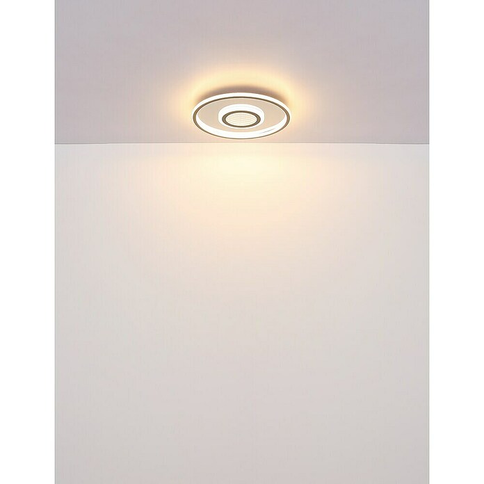 Globo LED okrogla stropna svetilka Cara  (40 W, Ø x V: 43,2 x 5 cm, Toplo bela) | 3016 - Deckenleuchte | CACB - Deckenleuchten | CAC - Indoorleuchten | CA - Beleuchtung | C - Elektro | BAUHAUS