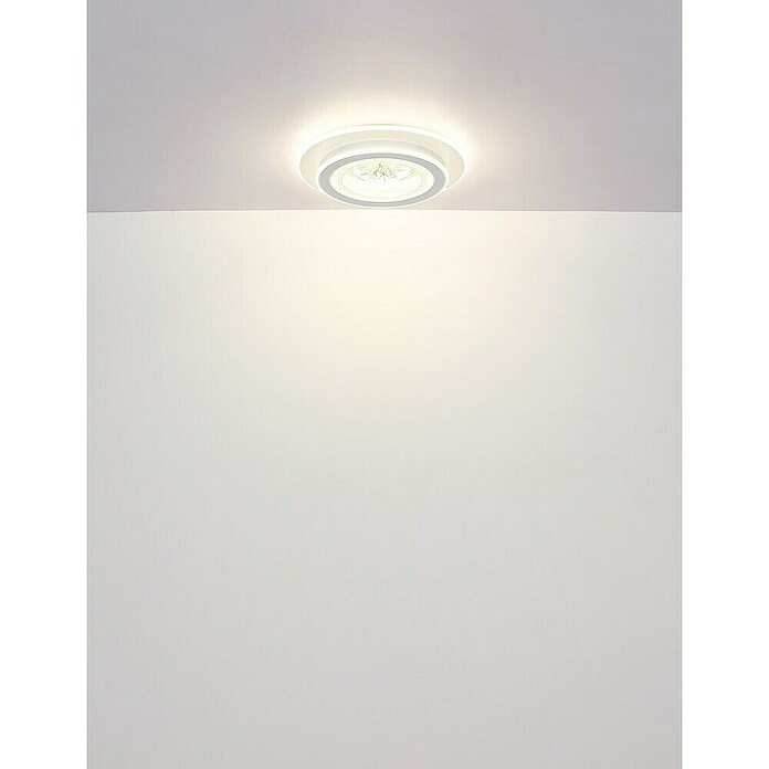 Globo LED okrogla stropna svetilka Bluma  (36 W, Ø x V: 46 x 6,5 cm) | 3016 - Deckenleuchte | CACB - Deckenleuchten | CAC - Indoorleuchten | CA - Beleuchtung | C - Elektro | BAUHAUS
