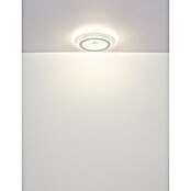 Globo LED okrogla stropna svetilka Bluma  (36 W, Ø x V: 46 x 6,5 cm) | 3016 - Deckenleuchte | CACB - Deckenleuchten | CAC - Indoorleuchten | CA - Beleuchtung | C - Elektro | BAUHAUS