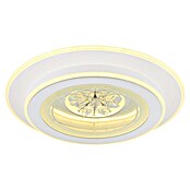 Globo LED okrogla stropna svetilka Bluma  (36 W, Ø x V: 46 x 6,5 cm) | 3016 - Deckenleuchte | CACB - Deckenleuchten | CAC - Indoorleuchten | CA - Beleuchtung | C - Elektro | BAUHAUS