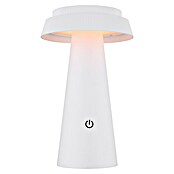 Globo Solarna stolna svjetiljka  (4 W, Bijela, IP54, Ø x V: 140 x 225 mm) | BAUHAUS