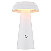 Globo Solarna stolna svjetiljka  (4 W, Bijela, IP54, Ø x V: 140 x 225 mm) | BAUHAUS