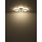 Globo LED stropna svjetiljka Kora  (60 W, D x Š x V: 780 x 560 x 120 mm, Crna, Topla bijela) | BAUHAUS