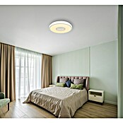 Globo LED-Deckenleuchte rund Astania (Farbe Gehäuse: Weiß, Ø x H: 38 x 6,5 cm, Tunneleffekt mittig, Warmweiß) | BAUHAUS
