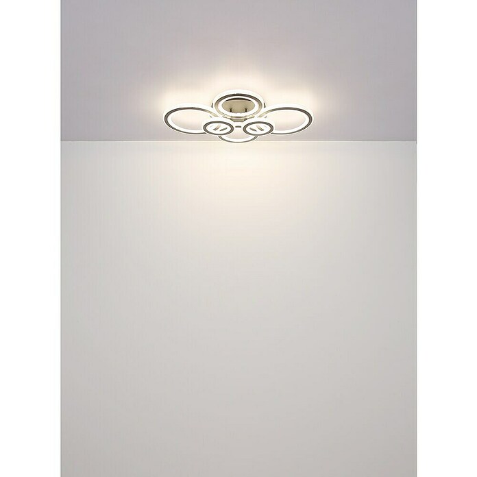 Globo LED stropna svjetiljka Kora  (60 W, D x Š x V: 780 x 560 x 120 mm, Crna, Topla bijela) | BAUHAUS