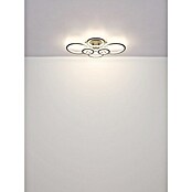 Globo LED stropna svjetiljka Kora  (60 W, D x Š x V: 780 x 560 x 120 mm, Crna, Topla bijela) | BAUHAUS