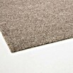 Rasenteppich Farbwunder (2 800 x 200 cm, Beige, Mit Drainagenoppen) | BAUHAUS
