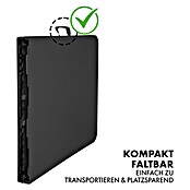 Floordirekt Klapptisch Kyoto (L x B x H: 76 x 73 x 180 cm, Kunststoff, Rechteckig, Schwarz) | BAUHAUS