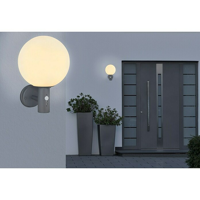 Globo LED-Außenwandleuchte Ossy (Anthrazit, weiß, IP44, B x H: 250 x 370 mm) | BAUHAUS
