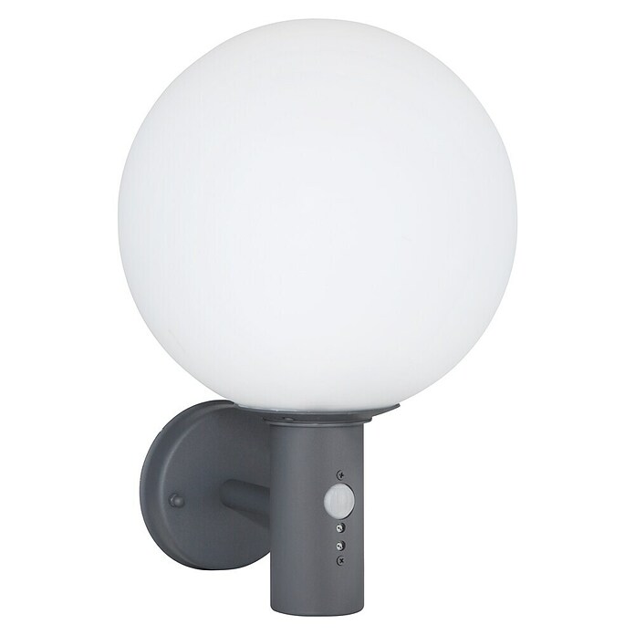 Globo LED-Außenwandleuchte Ossy (Anthrazit, weiß, IP44, B x H: 250 x 370 mm) | BAUHAUS