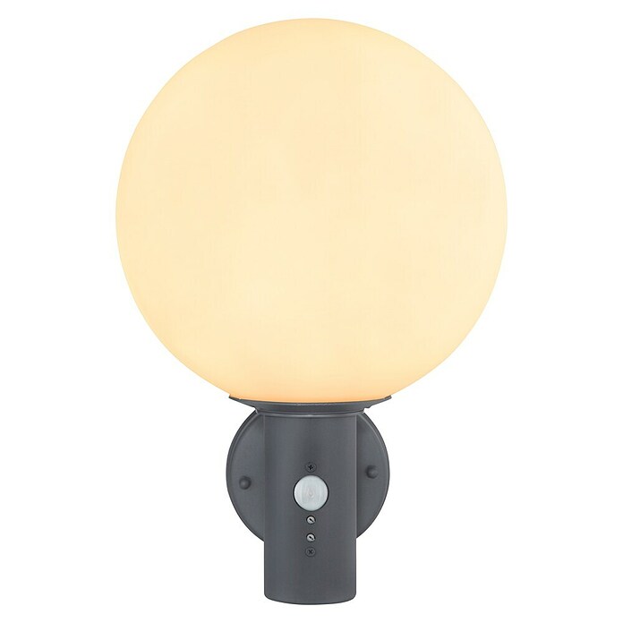 Globo LED-Außenwandleuchte Ossy (Anthrazit, weiß, IP44, B x H: 250 x 370 mm) | BAUHAUS