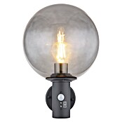 Globo Vanjska LED svjetiljka Hedwig  (IP44) | BAUHAUS
