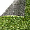 Kunstrasen Oxford (300 x 100 cm, Grün) | BAUHAUS