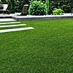 Kunstrasen Marbella (500 x 200 cm, Grün) | BAUHAUS