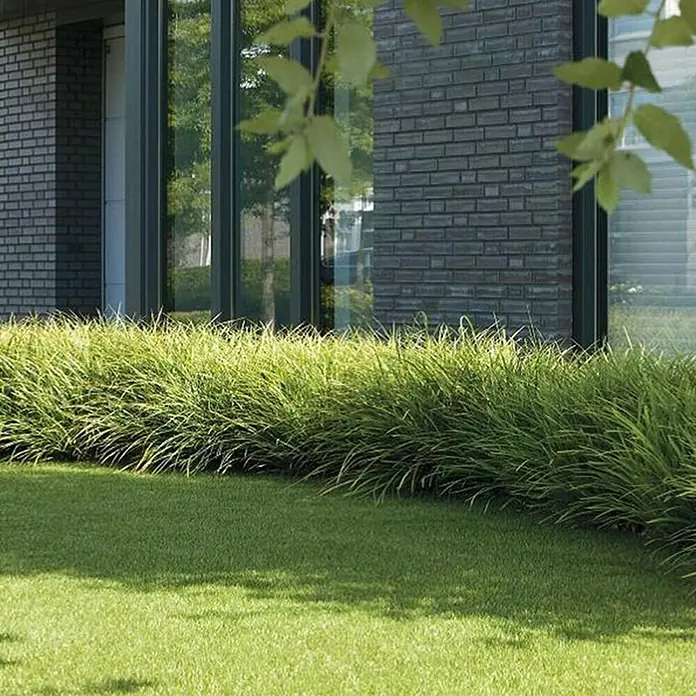 Kunstrasen Windsor - 100 x 100 cm, Grün - Detailaufnahme eines modernen Hauses mit üppigem Ziergras und gepflegtem Rasen, der die natürliche Schönheit des Gartens hervorhebt.