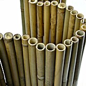 Floordirekt Beeteinfassung (100 x 15 cm, Bambus) | BAUHAUS