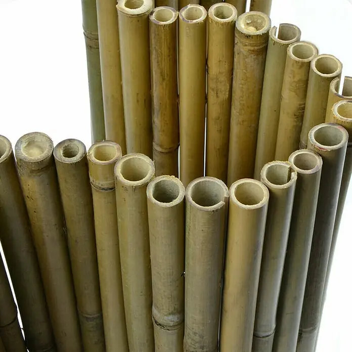 Floordirekt Beeteinfassung - 100 x 20 cm, Bambus - Bambusrohre bilden ein dekoratives Element. Die hohlen Stäbe sind eng aneinandergereiht und ergeben eine natürliche Struktur in warmen Gelbtönen.