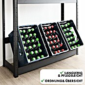 Floordirekt Getränkekistenregal Osaka (H x B x T: 200 x 40 x 30 cm, Traglast pro Boden: 100 kg, Anzahl Böden: 4 Stk., Stecken, Schwarz) | BAUHAUS