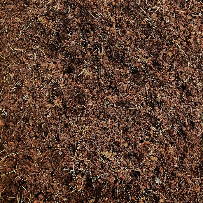 Pflanzerde Torffrei - 5 kg - Detailaufnahme von Kokosfasersubstrat, ideal für Pflanzenzucht und als natürlicher Bodenverbesserer.\n