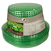 Gardol Schnecken-Stopp (Passend für: Schnecken, 5 Stk., Grün) | BAUHAUS