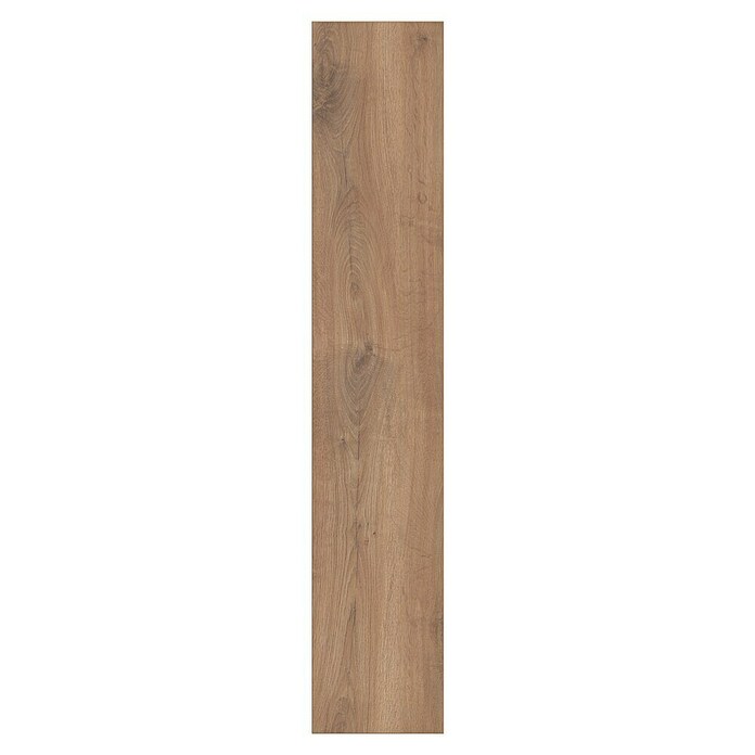 LOGOCLIC Edition Laminat Vinto Sundance Oak (Sundance Oak, Landhausdiele, 1 288 x 245 x 8 mm) | BAUHAUS