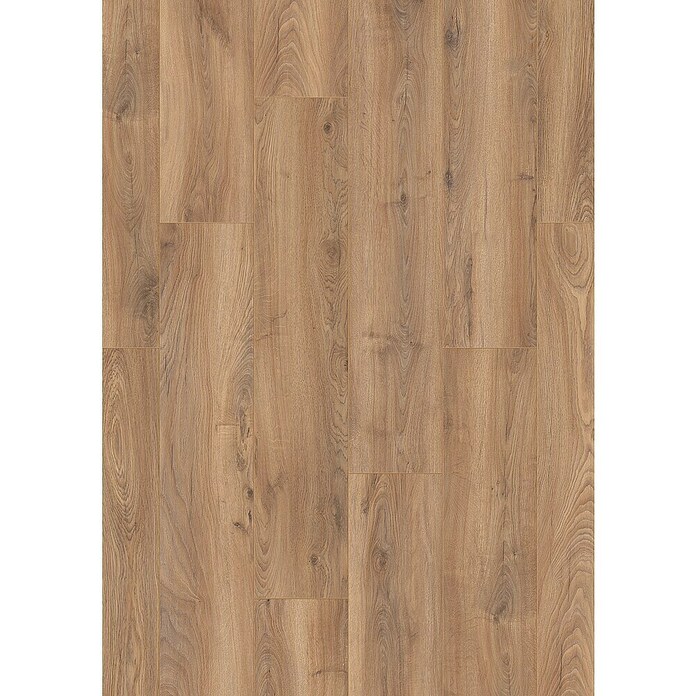 LOGOCLIC Edition Laminat Vinto Sundance Oak (Sundance Oak, Landhausdiele, 1 288 x 245 x 8 mm) | BAUHAUS