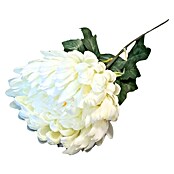 Umjetni cvijet Krizantema  (Visina: 66 cm, Boja cvijeta: Krem) | BAUHAUS